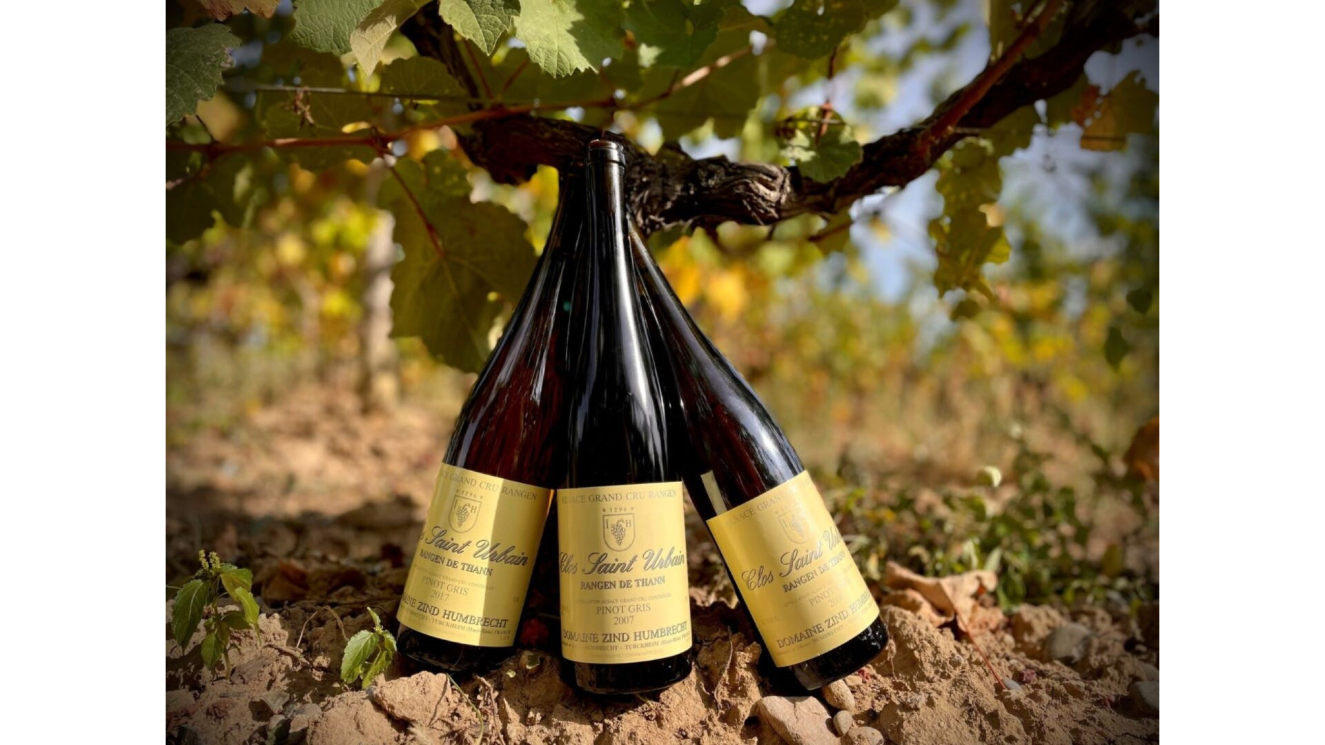 Coffret Dégustation Verticale Pinot Gris Grand Cru RANGEN