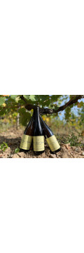 Coffret de Pinot Gris Grand Cru Rangen